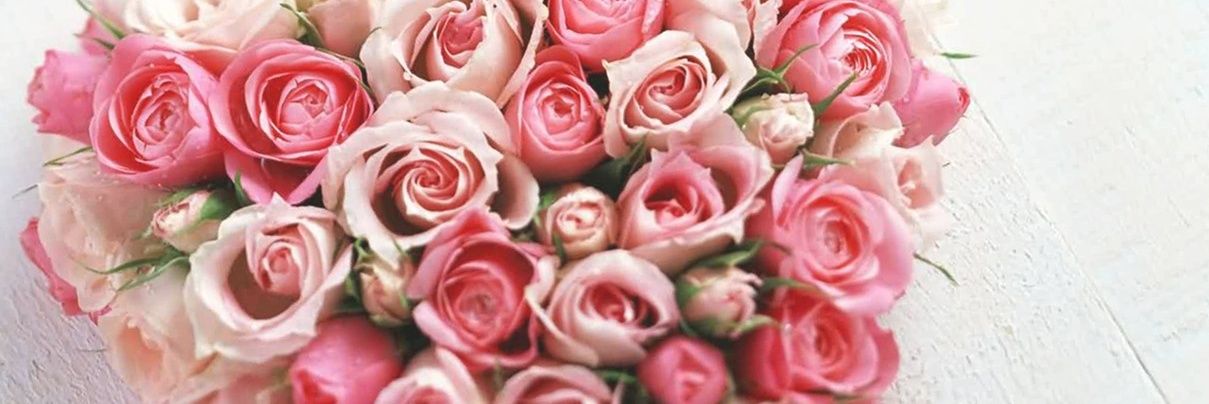 sofialuna459's profile banner image