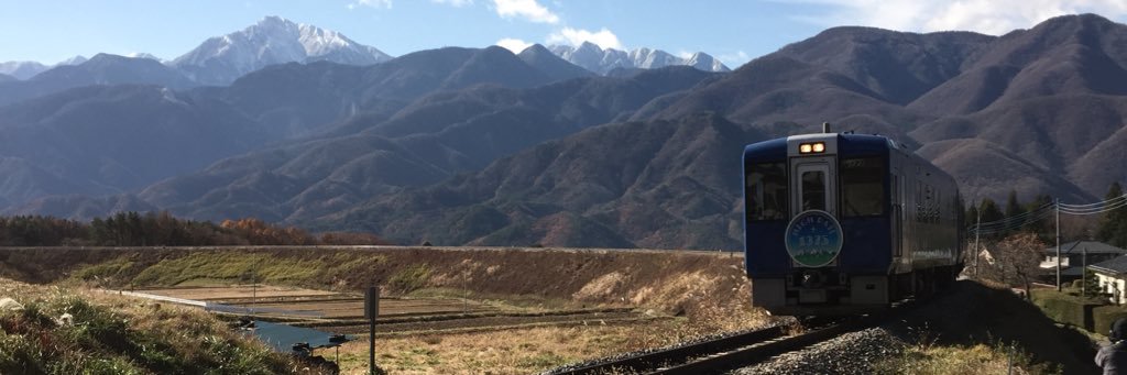 chiyutree's profile banner image