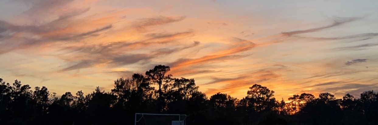 Abbie_Petrillo's profile banner image