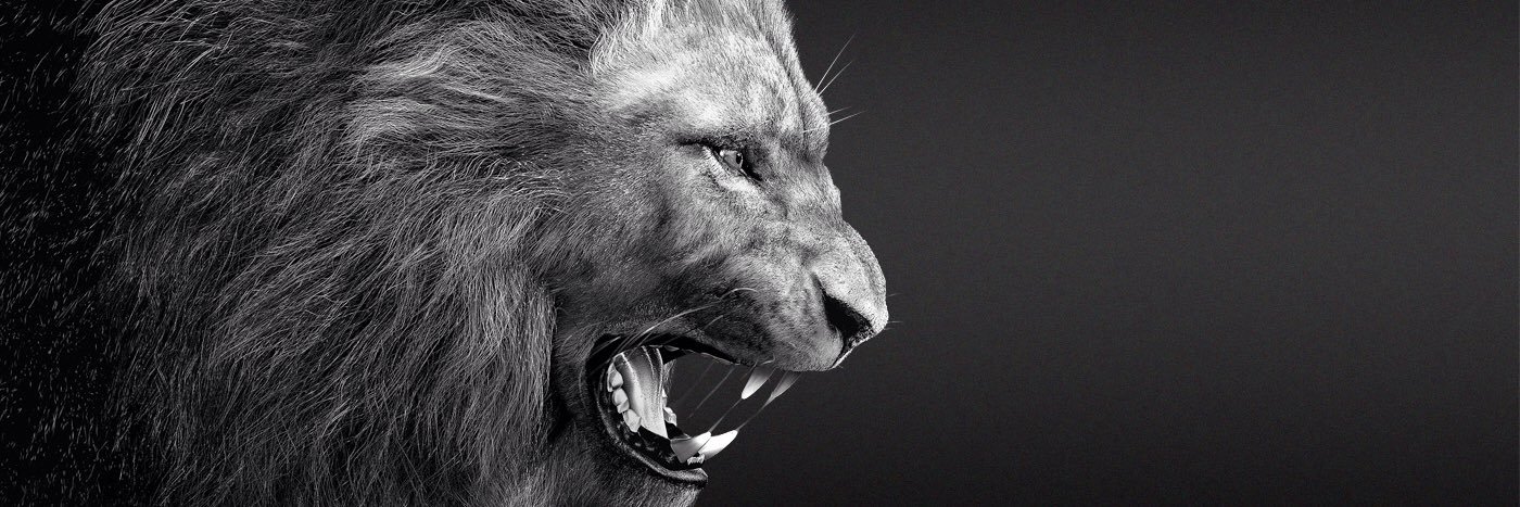 moises17estrada's profile banner image