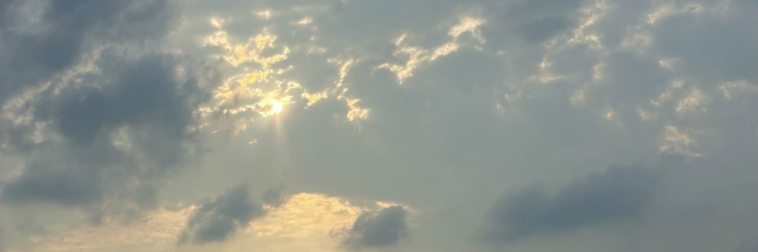 pamelapriego's profile banner image