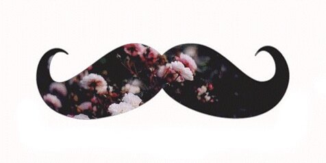 lisahiemstra_'s profile banner image