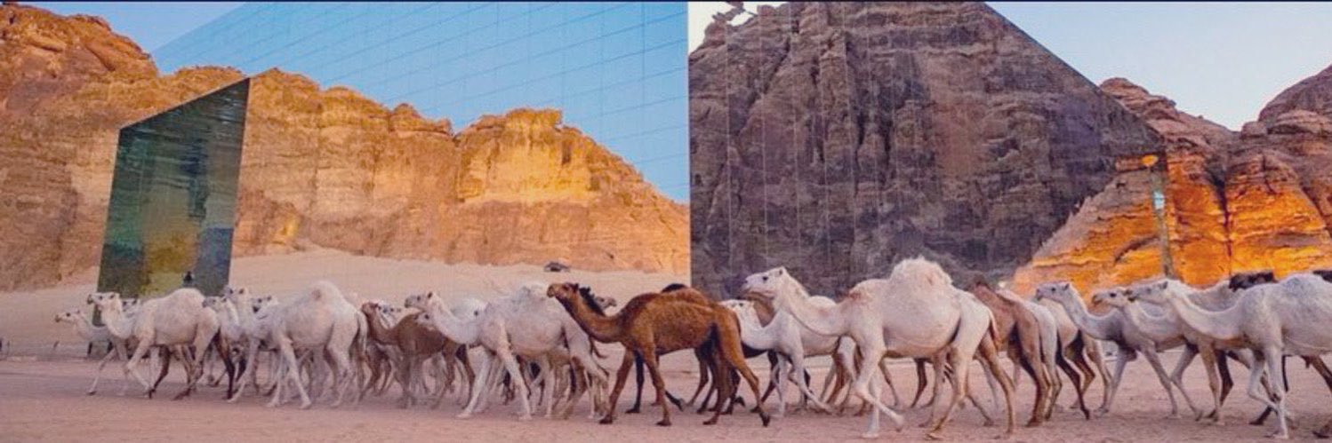 AliMutlaq's profile banner image