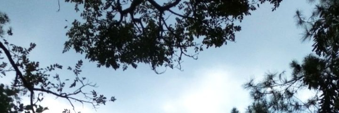 mathiaraa's profile banner image