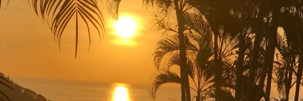 DominiqueDalde2's profile banner image