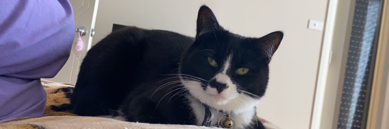 stoopidrat1's profile banner image