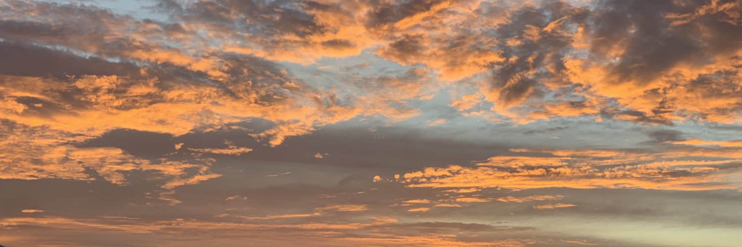 Luís Cardoso banner