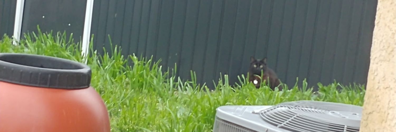 OmarSmells's profile banner image