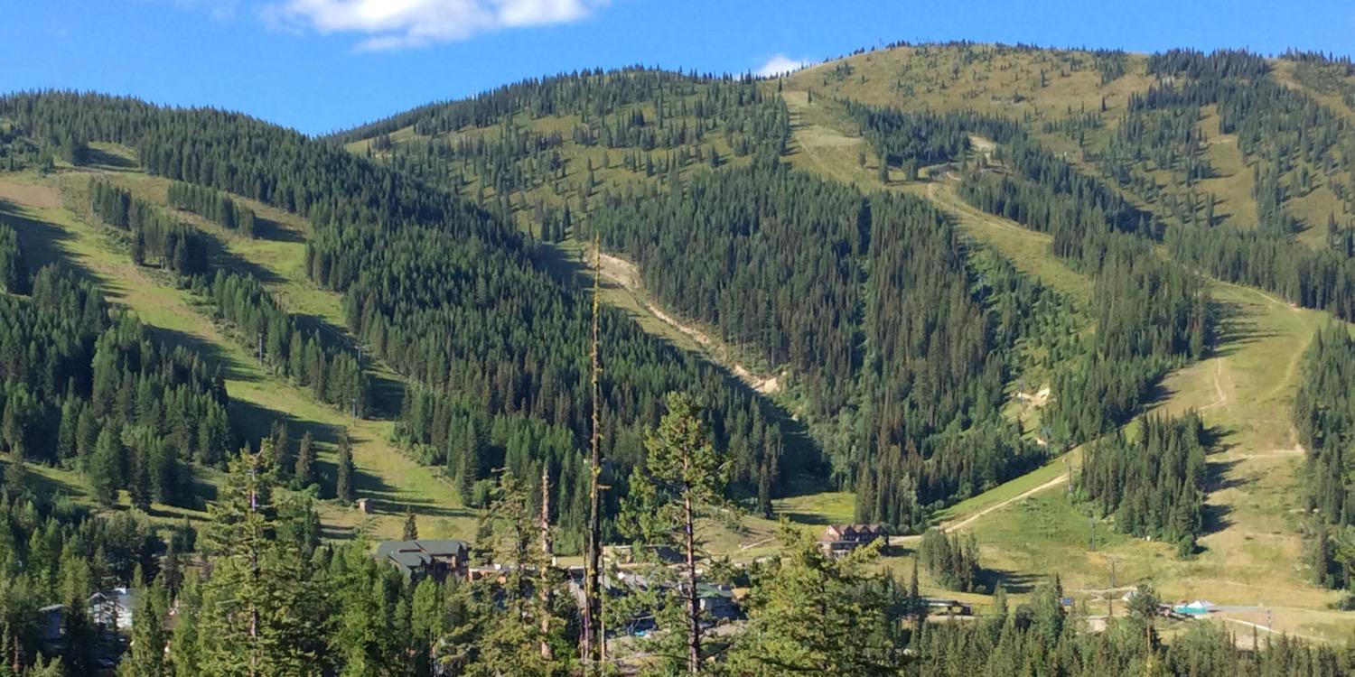 Kristina Duke banner