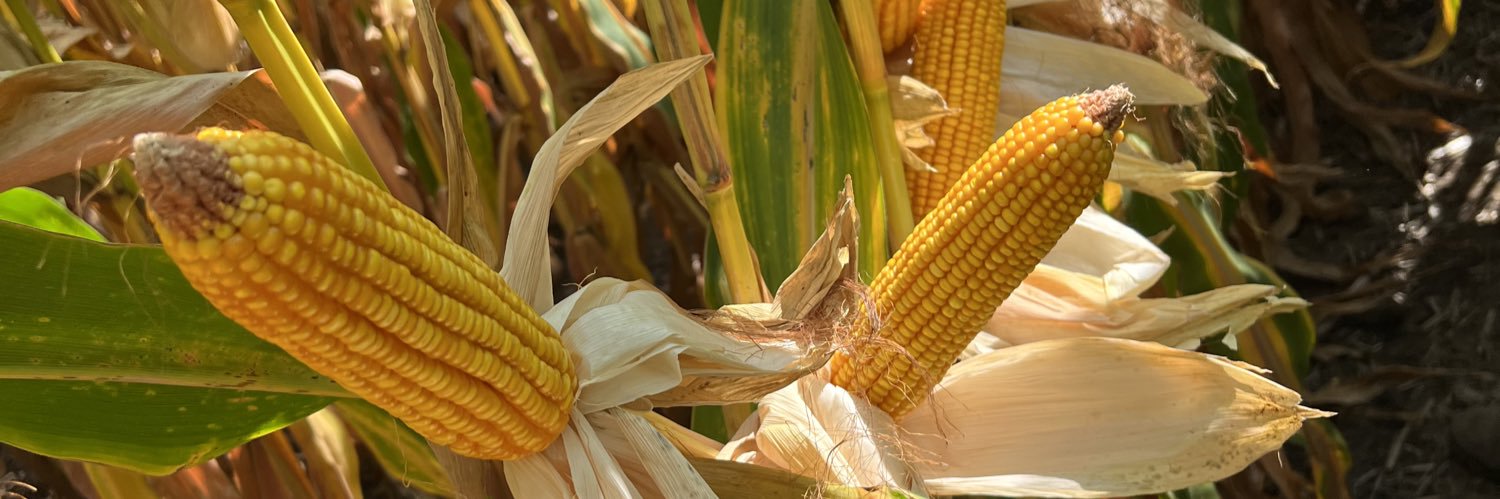 Allen Wiseman banner