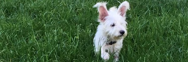 Ethyk_art Profile Banner