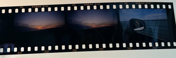 Angelinemoizard Profile Banner