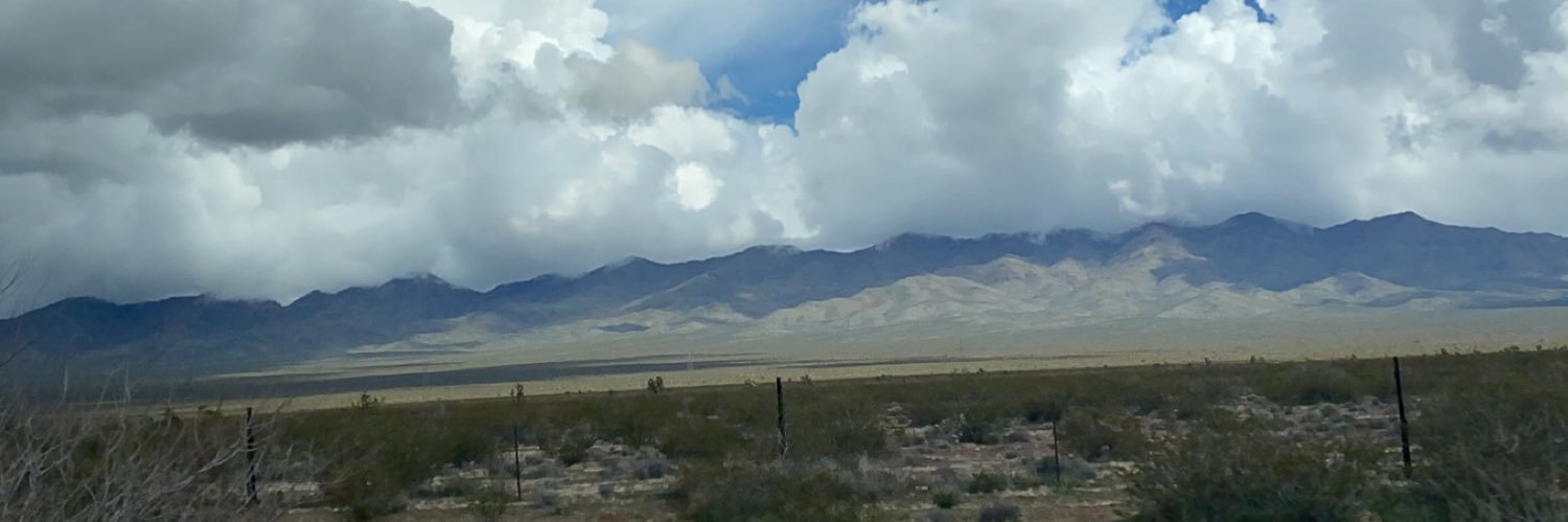 Markus Leckemby banner