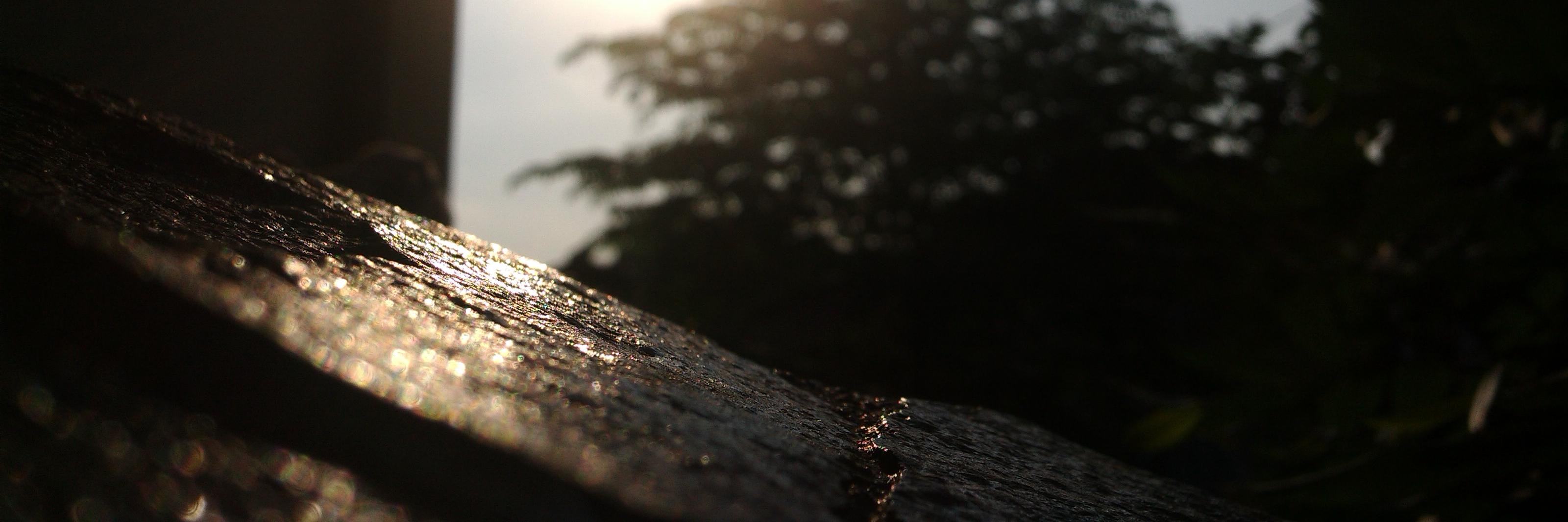 zeezfess's profile banner image
