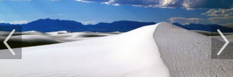 lynn_pacheco's profile banner image