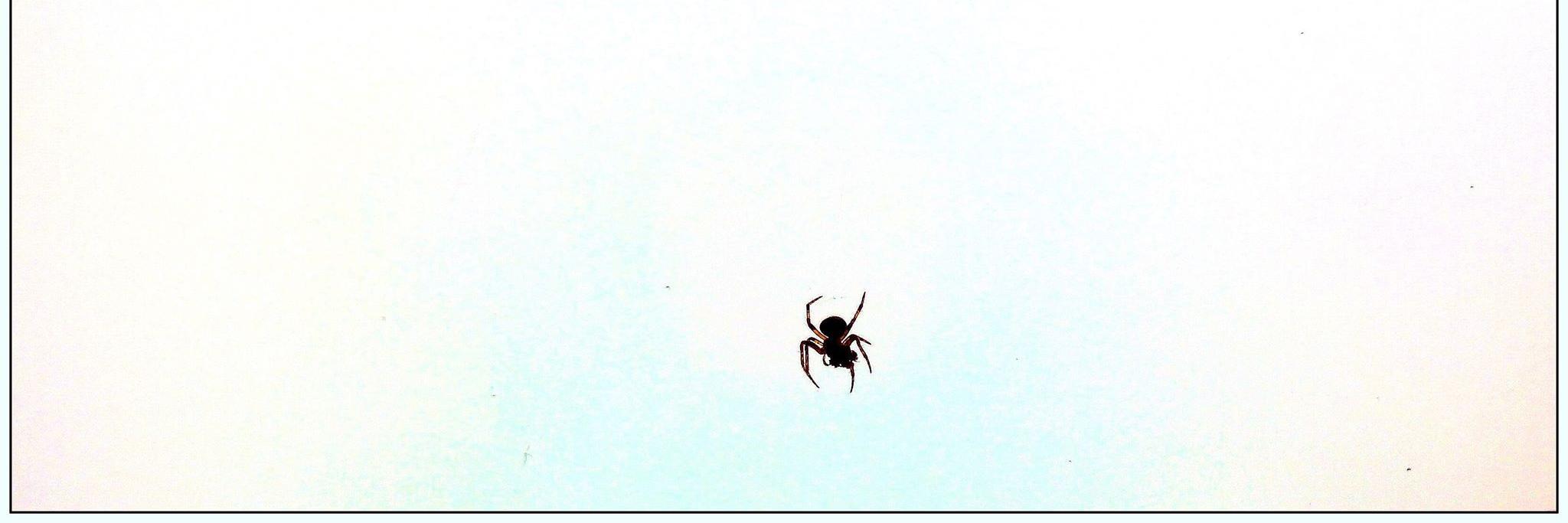 Noob_Lad's profile banner image