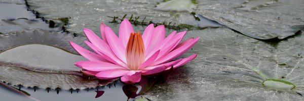EvolveLeadLove Profile Banner