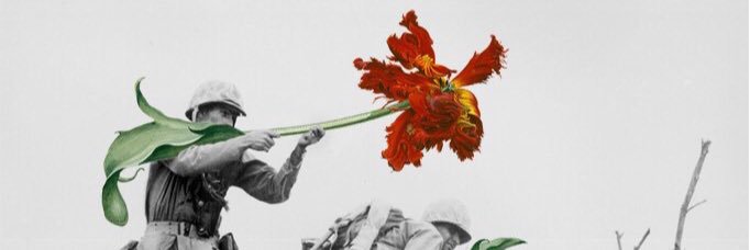 kulacino's profile banner image