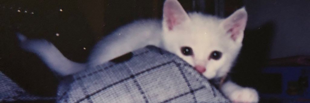 GAZZ1966's profile banner image