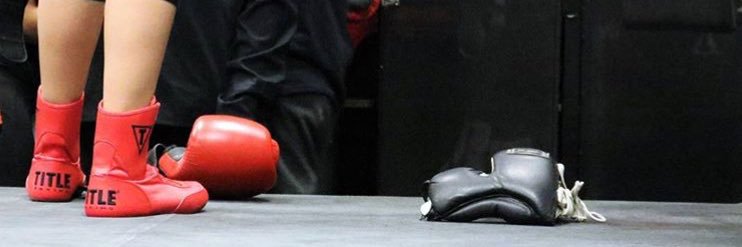 brendaboxes's profile banner image