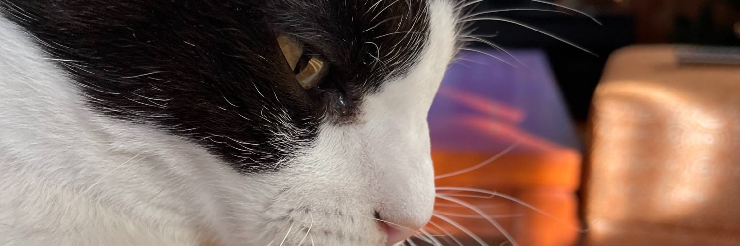 manofabitch's profile banner image