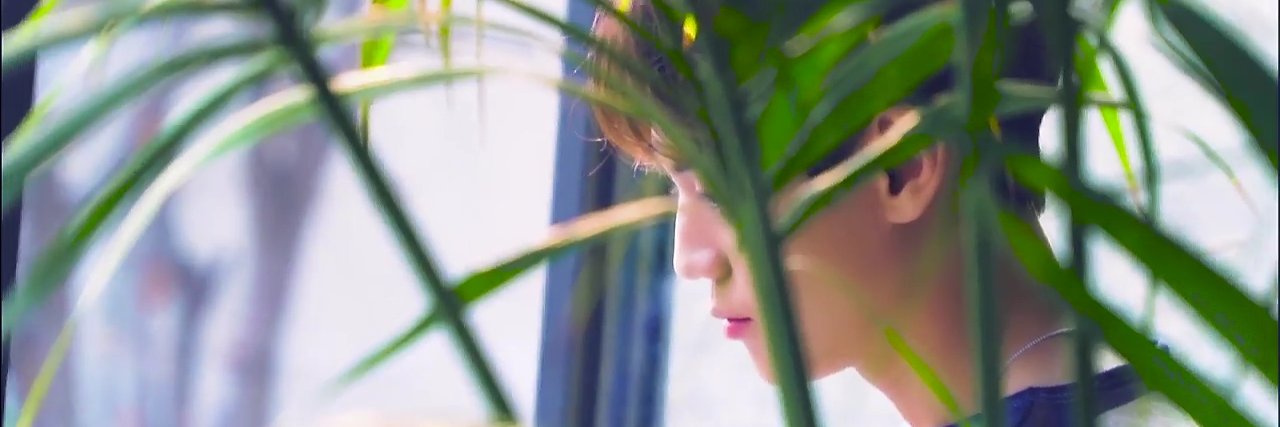 불꽃섭 banner