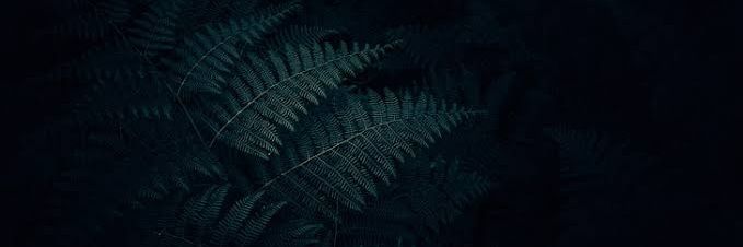 garyxdavids's profile banner image