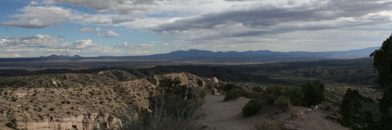 Dr Curtis Runstedler banner