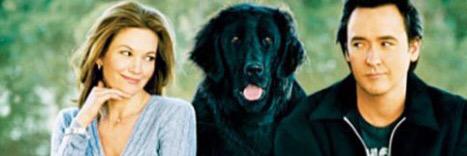 bumbledogs's profile banner image