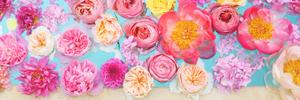 Angeles_MB1's profile banner image