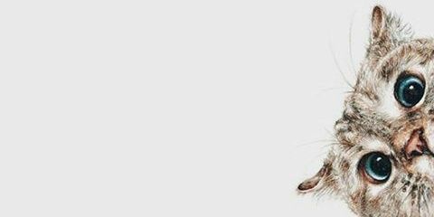 Karixaaaaaa's profile banner image