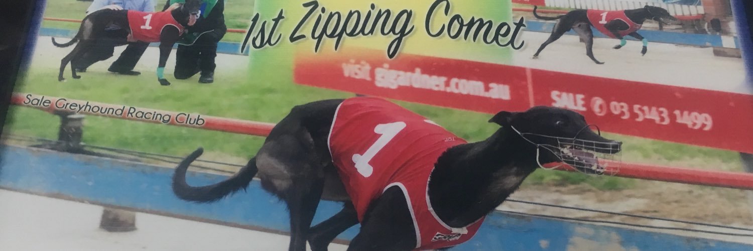 ZippingComet's profile banner image