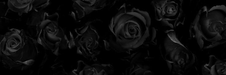 danz16ROCKS's profile banner image