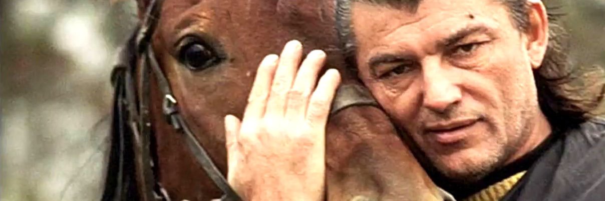Herpes_Simplex1's profile banner image