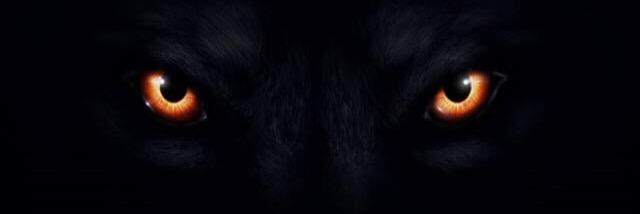 Hellz_Assassin_'s profile banner image