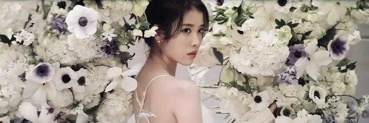 Linzy banner