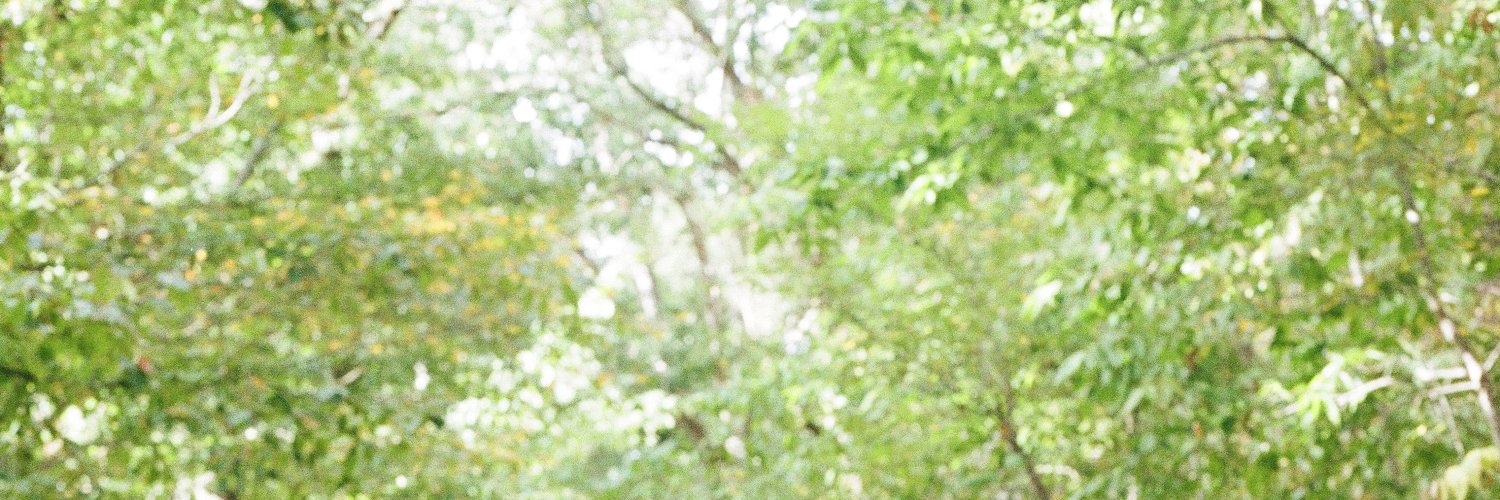 jess nolan banner