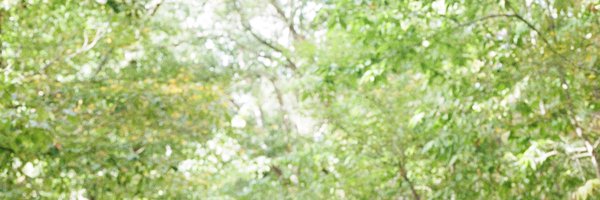 iamjessnolan Profile Banner