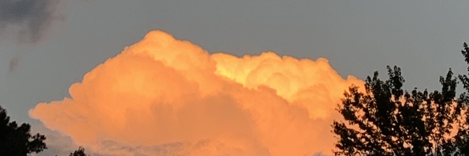tess_rodgers's profile banner image
