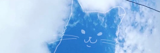 Miya banner