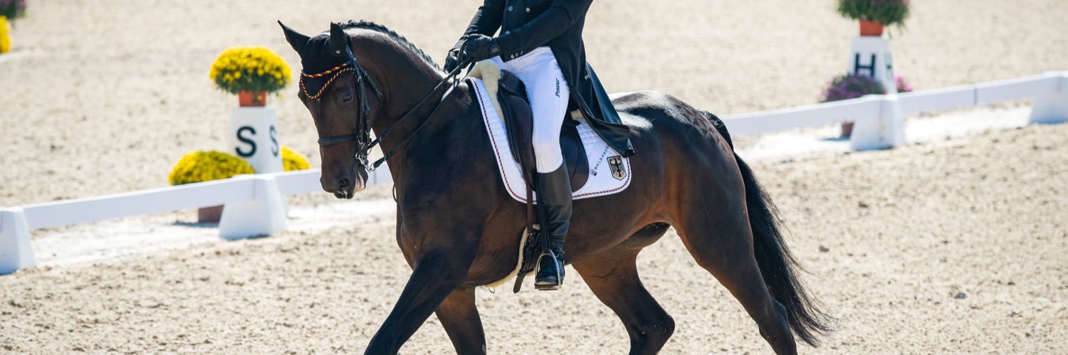 German Eventing banner