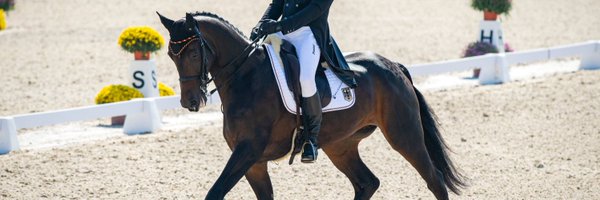 GermanEventing Profile Banner