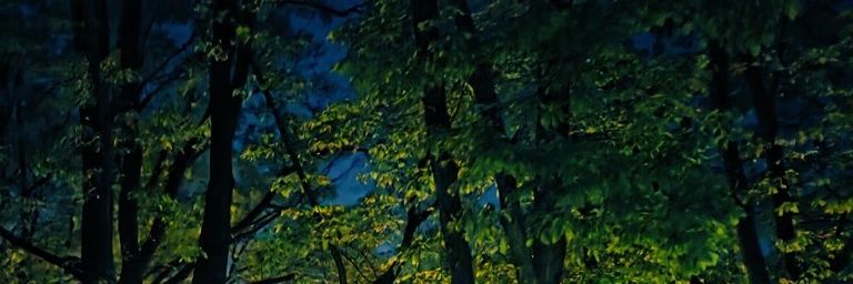 rk☘️ banner