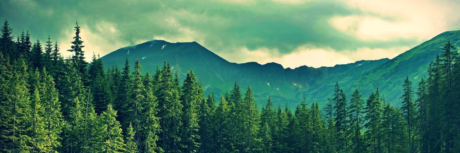 maria___schmidt's profile banner image