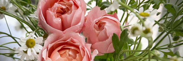 crema Profile Banner