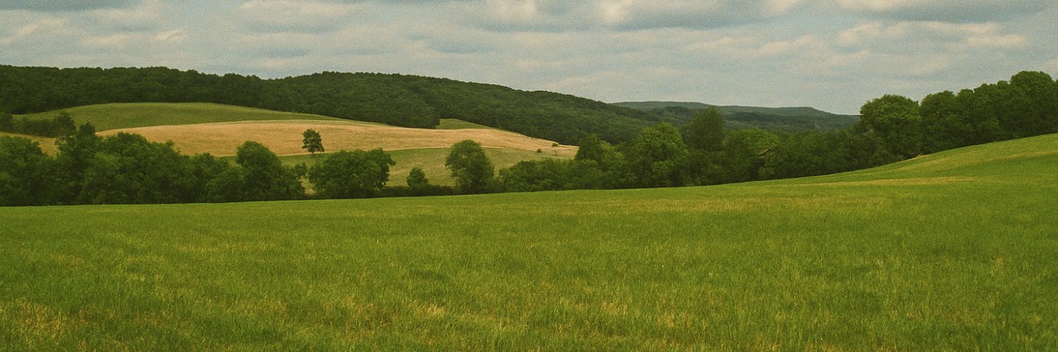 Lisa Braswick banner