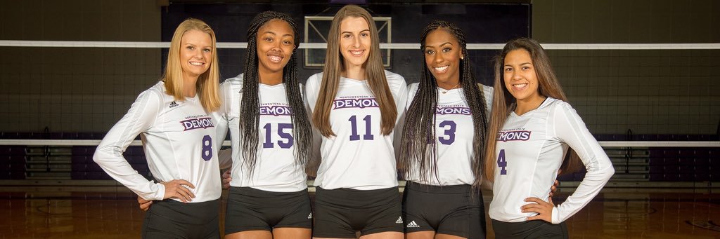 NSUDemonsVB4's profile banner image