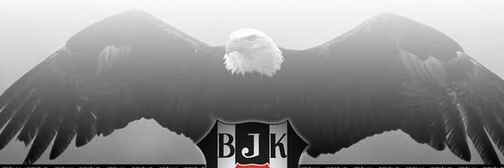 baydin333's profile banner image
