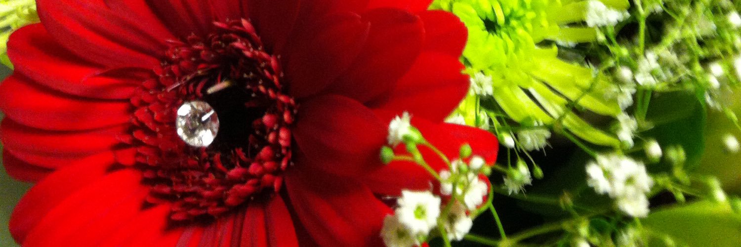 frainstar's profile banner image