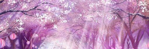 Lin805799's profile banner image